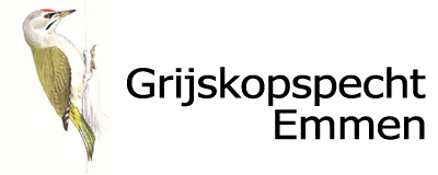 Grijskopspecht Emmen
